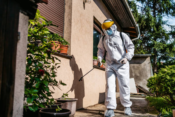 Best Pest Removal Services  in Hoover, AL