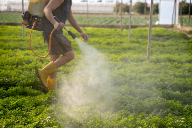 Pest Prevention Services in Hoover, AL