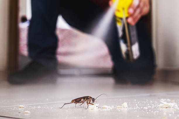 Best Insect Control  in Hoover, AL