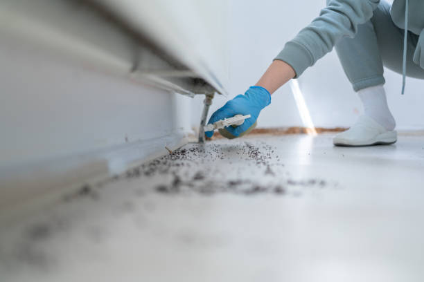 Best Wasp Removal Services  in Hoover, AL